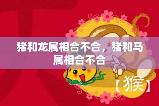 猪和龙属相合不合，猪和马属相合不合