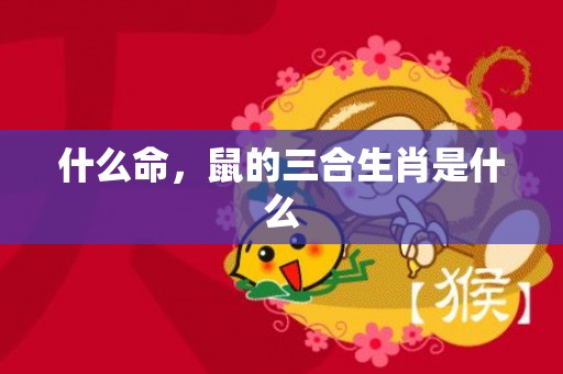 什么命，鼠的三合生肖是什么