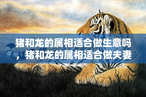 猪和龙的属相适合做生意吗，猪和龙的属相适合做夫妻吗