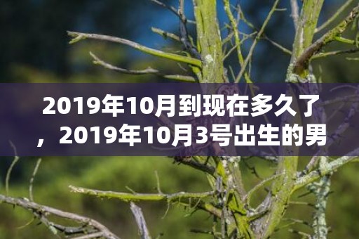2019年10月到现在多久了，2019年10月3号出生的男宝宝五行缺金取名注意事项