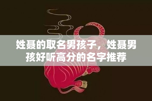 姓聂的取名男孩子，姓聂男孩好听高分的名字推荐