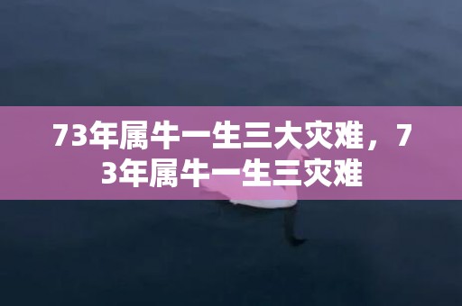 73年属牛一生三大灾难，73年属牛一生三灾难