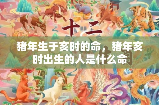 猪年生于亥时的命，猪年亥时出生的人是什么命