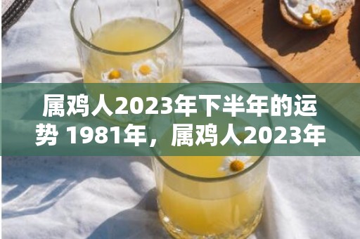 属鸡人2023年下半年的运势 1981年，属鸡人2023年全年运势1981年