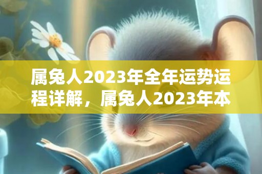 属兔人2023年全年运势运程详解，属兔人2023年本命年运势