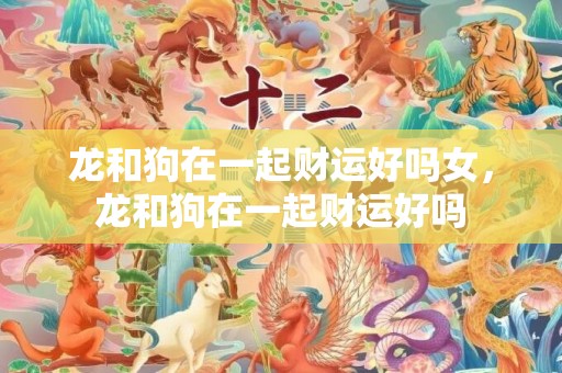 龙和狗在一起财运好吗女，龙和狗在一起财运好吗