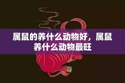 属鼠的养什么动物好，属鼠养什么动物最旺