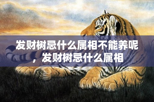 发财树忌什么属相不能养呢，发财树忌什么属相