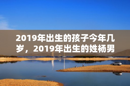 2019年出生的孩子今年几岁，2019年出生的姓杨男孩如何起名，宜用什么字