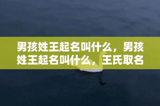 男孩姓王起名叫什么，男孩姓王起名叫什么，王氏取名大全