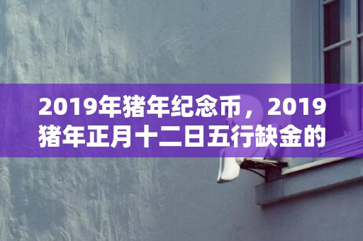 2019年猪年纪念币，2019猪年正月十二日五行缺金的女孩起名