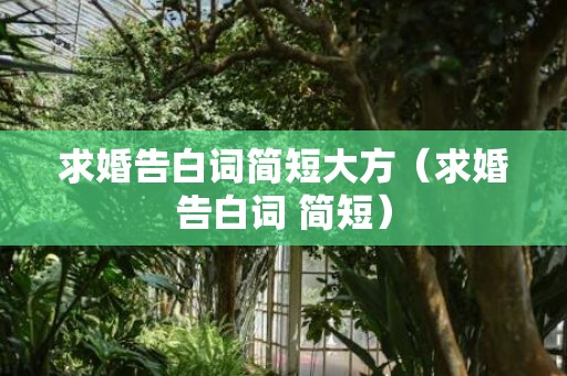 求婚告白词简短大方（求婚告白词 简短）
