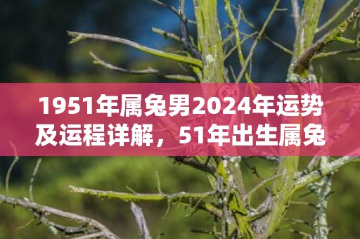 1951年属兔男2024年运势及运程详解，51年出生属兔人2024全年每月运势男性，1951年属兔男2024年运势及运程详解，51年出生属兔人2024全年每月运势男性