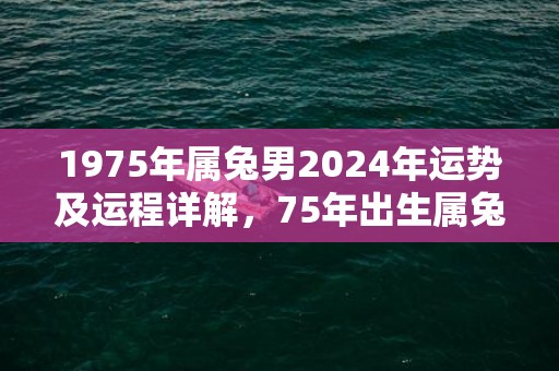 1975年属兔男2024年运势及运程详解，75年出生属兔人2024全年每月运势男性，1975年属兔男2024年运势及运程详解，75年出生属兔人2024全年每月运势男性