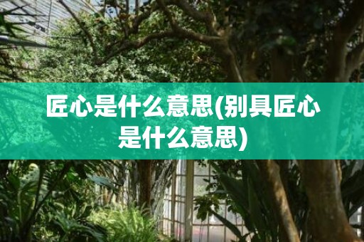 匠心是什么意思(别具匠心是什么意思)