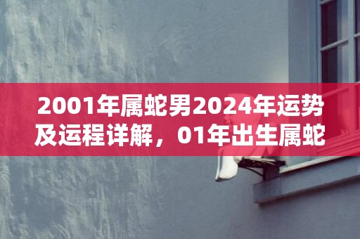 2001年属蛇男2024年运势及运程详解，01年出生属蛇人2024全年每月运势男性，2001年属蛇男2024年运势及运程详解，01年出生属蛇人2024全年每月运势男性