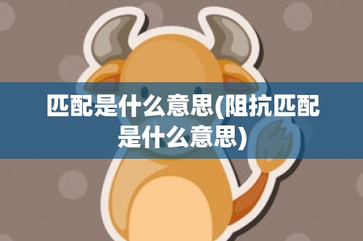 匹配是什么意思(阻抗匹配是什么意思)