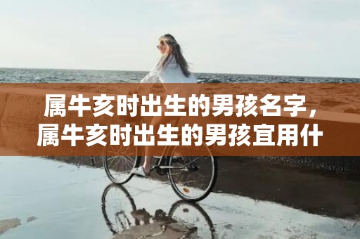 属牛亥时出生的男孩名字，属牛亥时出生的男孩宜用什么字起名