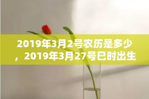 2019年3月2号农历是多少，2019年3月27号巳时出生的男孩应该起什么样的名字