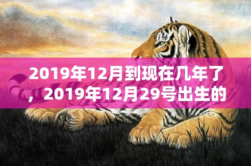 2019年12月到现在几年了，2019年12月29号出生的双胞胎男孩怎么起名好，五行属什么