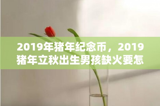 2019年猪年纪念币，2019猪年立秋出生男孩缺火要怎么起名字