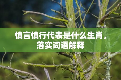 慎言慎行代表是什么生肖，落实词语解释