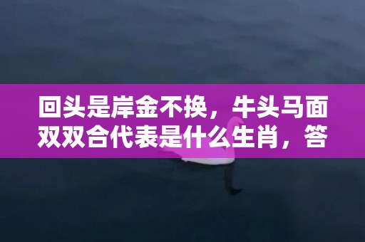 回头是岸金不换，牛头马面双双合代表是什么生肖，答案曝光落实