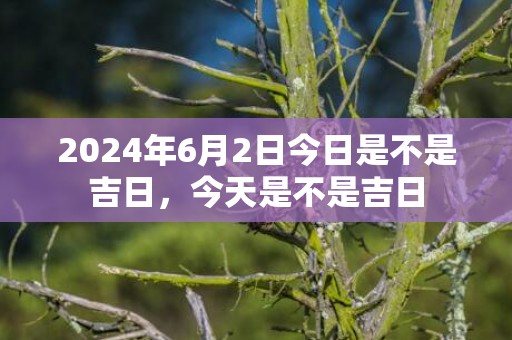 2024年6月2日今日是不是吉日，今天是不是吉日