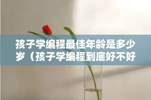 孩子学编程最佳年龄是多少岁（孩子学编程到底好不好?）