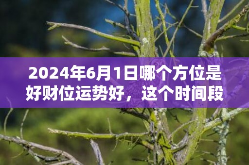 2024年6月1日哪个方位是好财位运势好，这个时间段是吉日吗