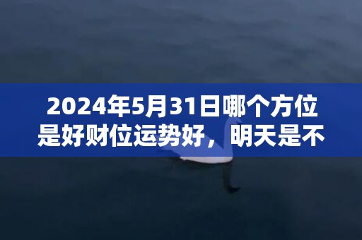 2024年5月31日哪个方位是好财位运势好，明天是不是吉日