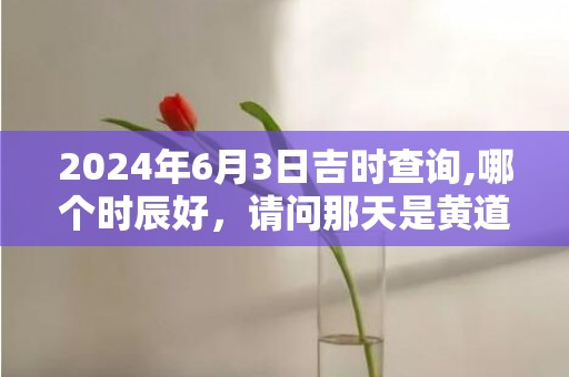 2024年6月3日吉时查询,哪个时辰好，请问那天是黄道吉日