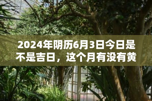 2024年阴历6月3日今日是不是吉日，这个月有没有黄道吉日