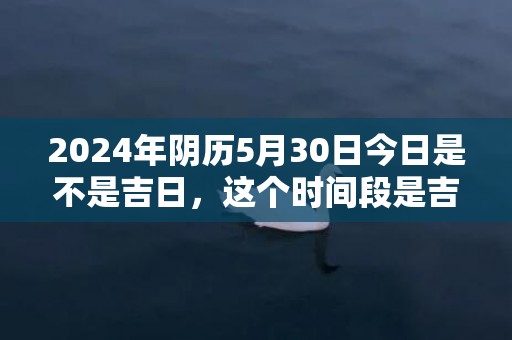 2024年阴历5月30日今日是不是吉日，这个时间段是吉日吗