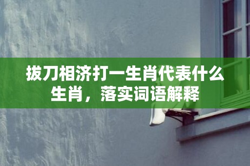 拔刀相济打一生肖代表什么生肖，落实词语解释