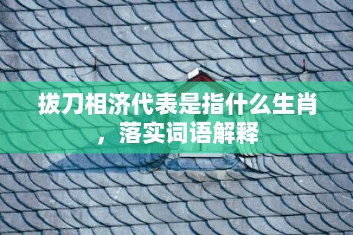 拔刀相济代表是指什么生肖，落实词语解释