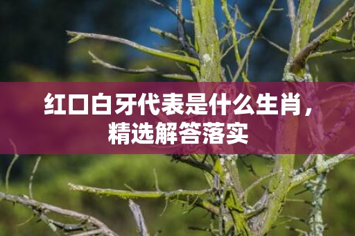 红口白牙代表是什么生肖，精选解答落实