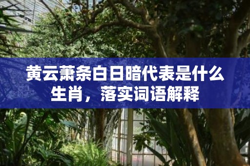 黄云萧条白日暗代表是什么生肖，落实词语解释