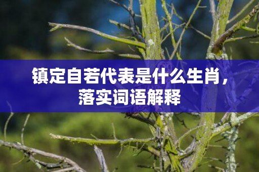镇定自若代表是什么生肖，落实词语解释