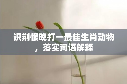 识荆恨晚打一最佳生肖动物，落实词语解释