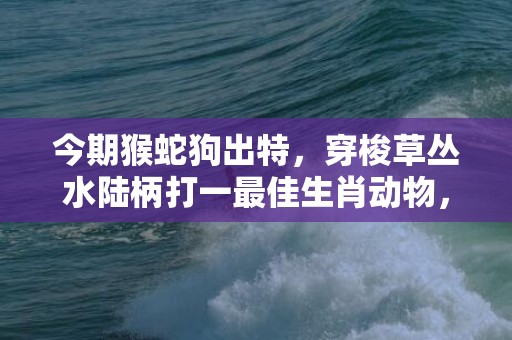 今期猴蛇狗出特，穿梭草丛水陆柄打一最佳生肖动物，落实词语解释
