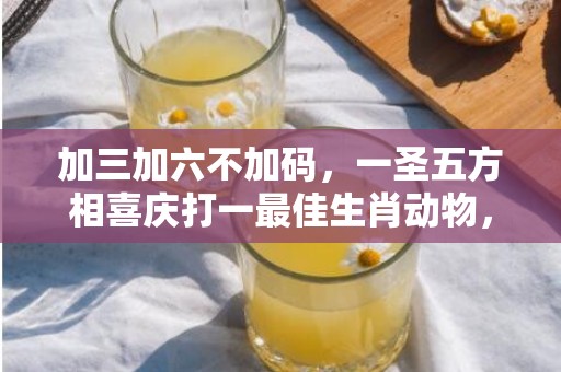 加三加六不加码，一圣五方相喜庆打一最佳生肖动物，落实词语解释