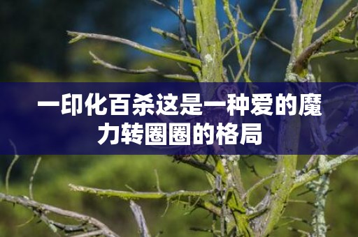 一印化百杀这是一种爱的魔力转圈圈的格局