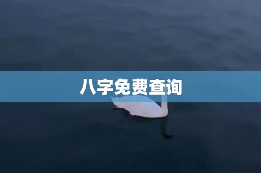 八字免费查询
