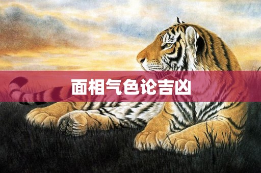面相气色论吉凶