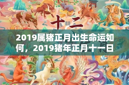2019属猪正月出生命运如何，2019猪年正月十一日缺火男孩起什么名字好？