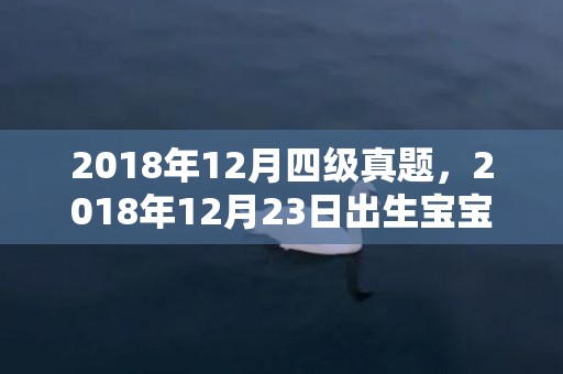 2018年12月四级真题，2018年12月23日出生宝宝乳名怎么取？洋气小名大全