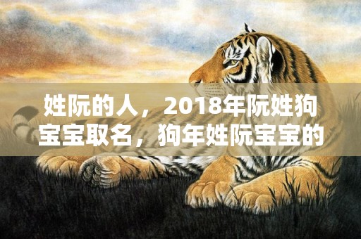 姓阮的人，2018年阮姓狗宝宝取名，狗年姓阮宝宝的名字大全