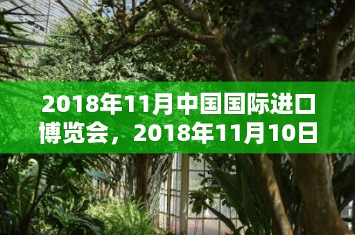 2018年11月中国国际进口博览会，2018年11月10日出生宝宝如何起小名？好听宝宝小名推荐！