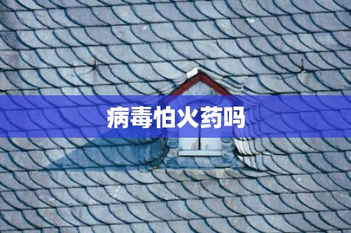 病毒怕火药吗